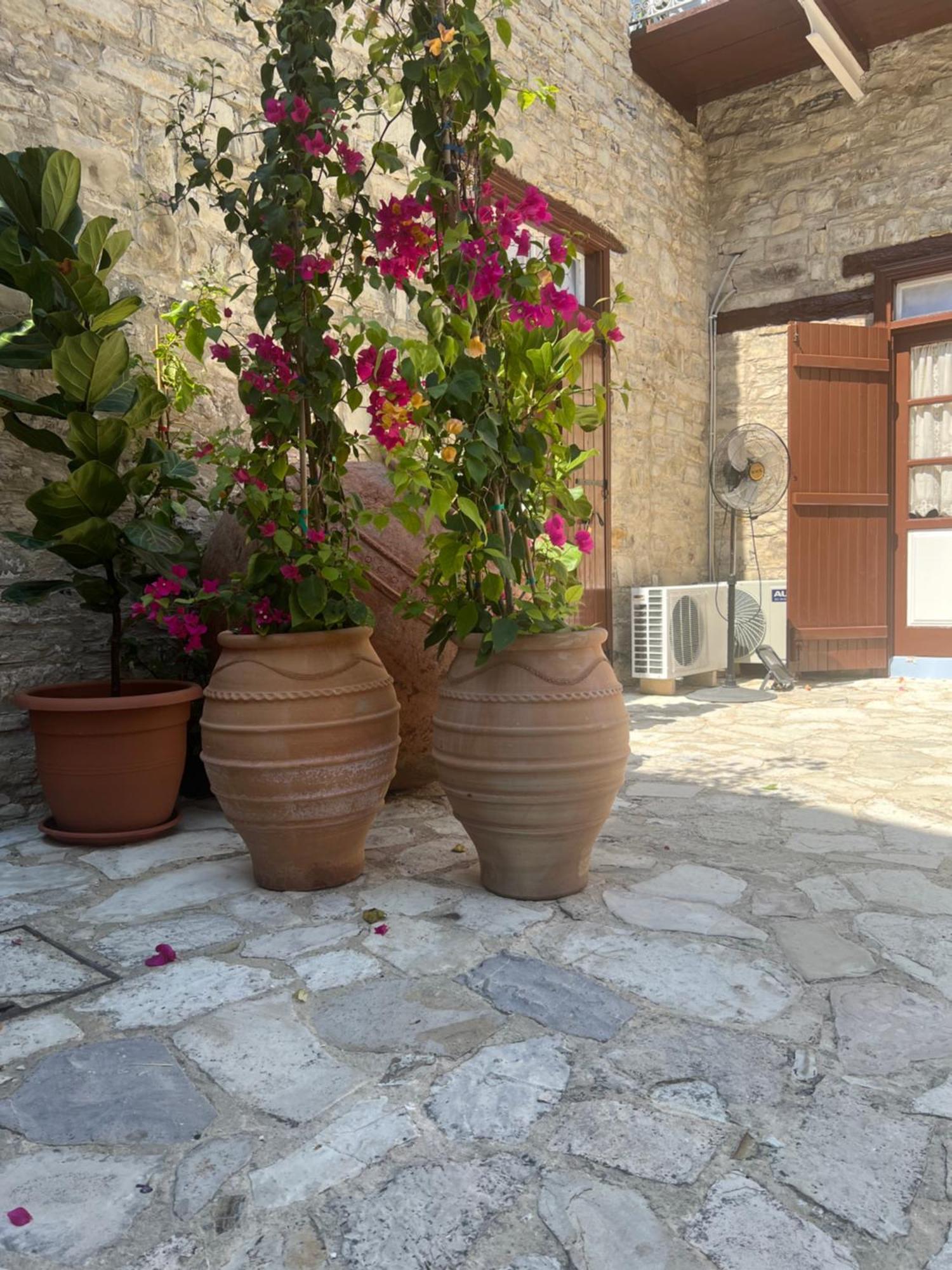 Villa Theodorou Lefkara Luaran gambar